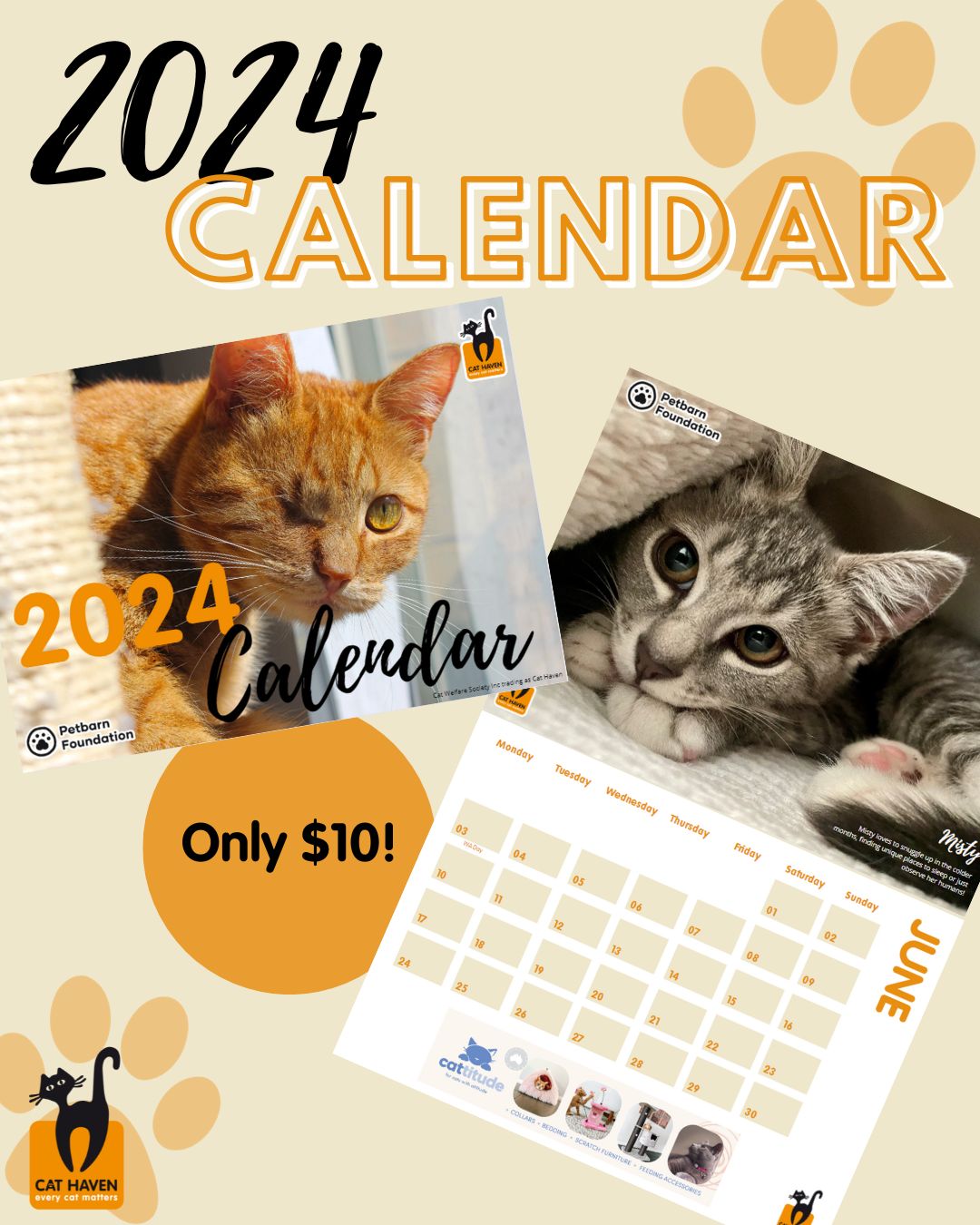 Cat Haven 2024 Calendar – cathaven_perth
