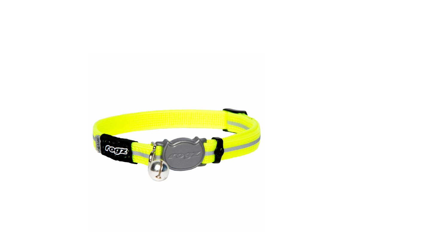 Collar Rogz Alleycat Sml - Dayglo