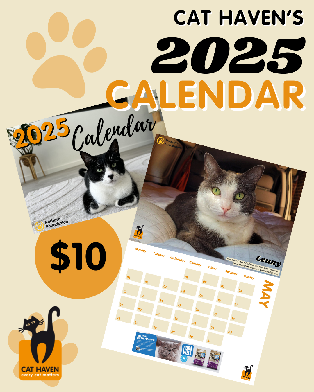 Cat Haven 2025 Calendar