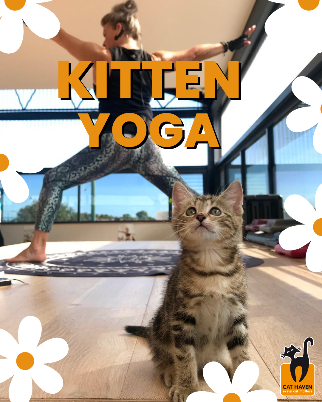 Kitten Yoga - Gold's Gym South Fremantle 23rd March