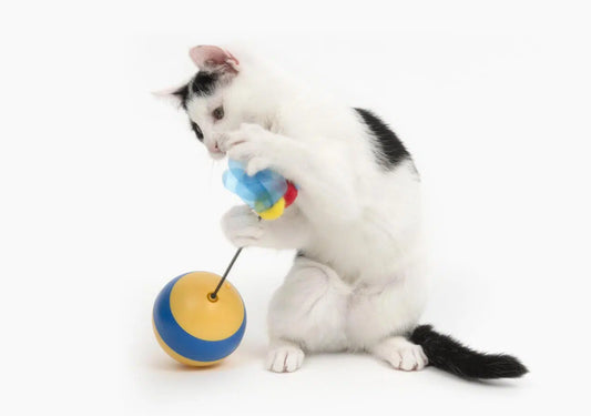 Catit Play SPinning Bee Toy