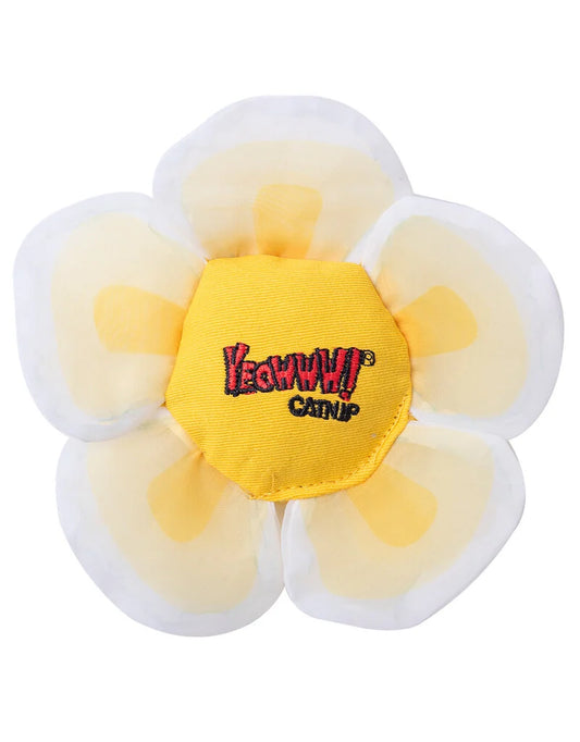 Yeowww Daisy Flower Catnip - White